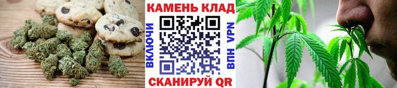 OMG как войти  наркошоп  Южно-Сухокумск  Еда ТГК конопля 