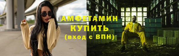 дмт Алексин