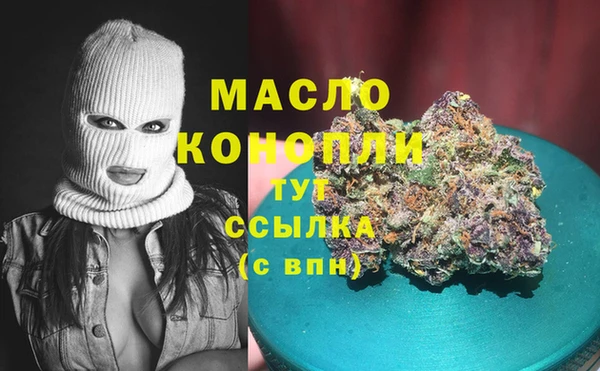дмт Алексин