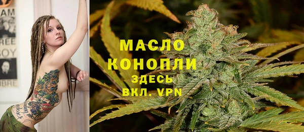 дмт Алексин