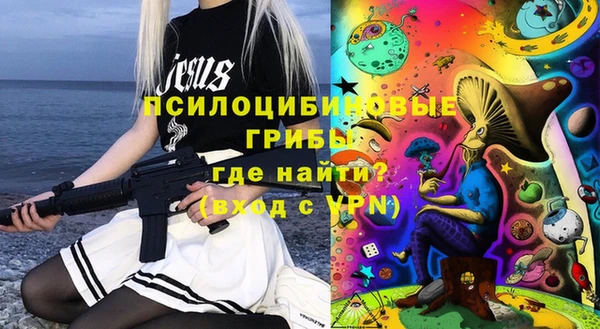 дмт Алексин