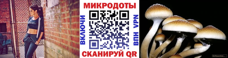 Галлюциногенные грибы прущие грибы  Южно-Сухокумск 
